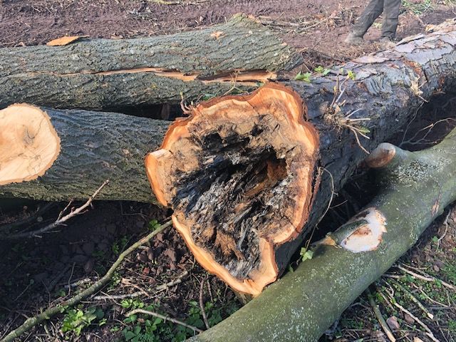 Burton_Manor_280319_2 Burton_Manor_280319_2